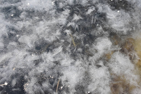 寒冷的河水冰质在阳图片