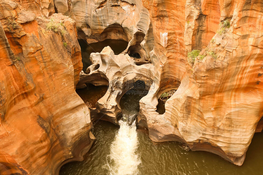 南非SimangalisoWetland公园和SainteLucie的iSimangaliso湿地公园图片