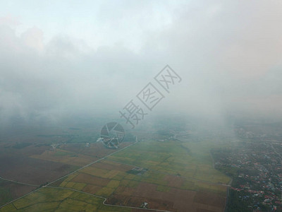空中俯视稻田与海云背景图片