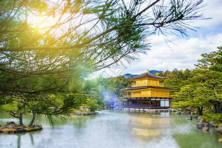 日本京都寺金殿日本京高清图片