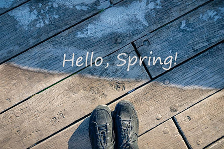 你好春天的话从冬天到春天的过渡概念春天来了对比温暖与寒冷背景图片