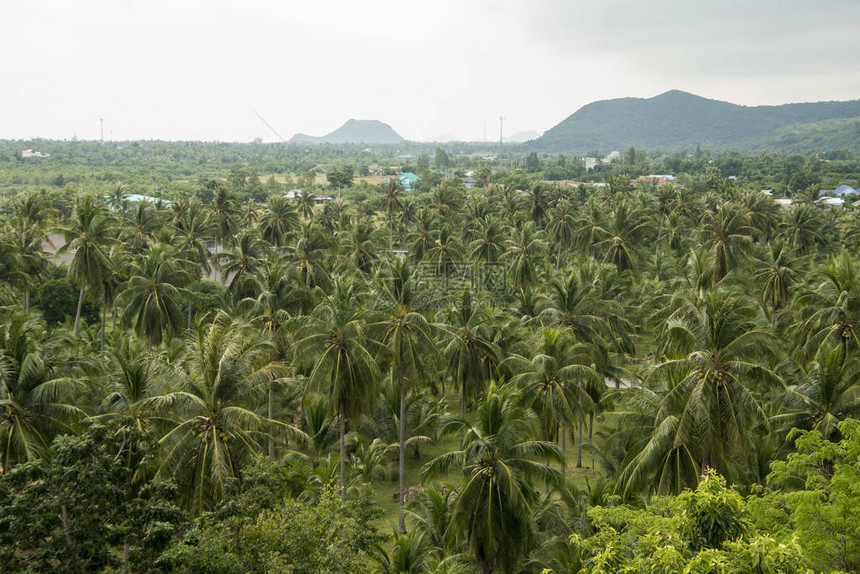 泰国华欣镇以南泰国高尔夫山边普兰布里城附近的风景图片