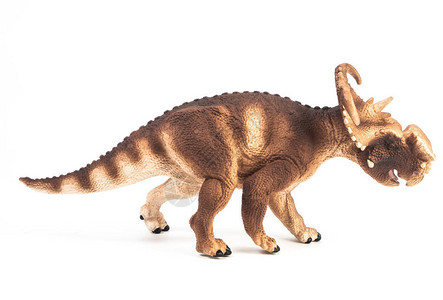 Pachyrhinosaurus恐龙图片