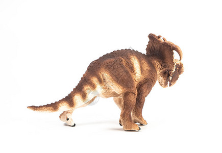Pachyrhinosaurus恐龙图片