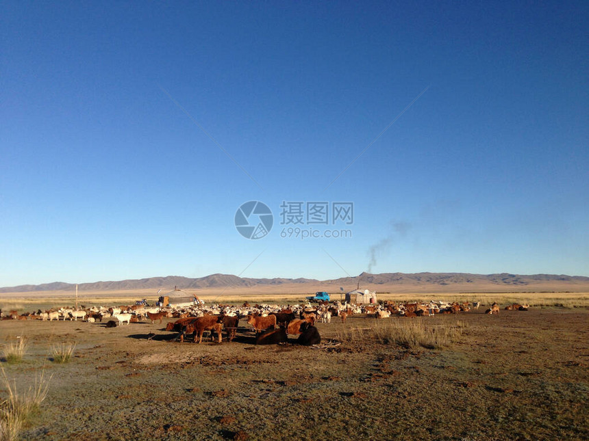 蒙古有两块传统的牲图片