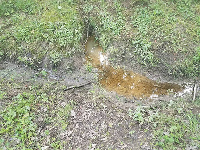 排水沟中的浅泥水坑图片
