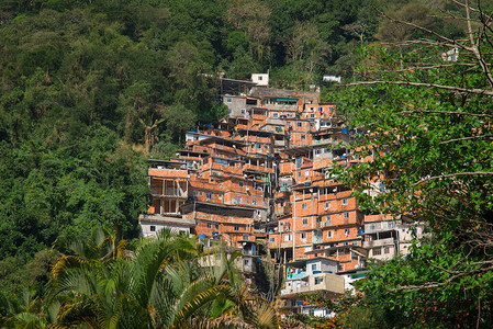 在巴西里约热内卢热带森林环绕的巴西Favela红砖房周围被图片
