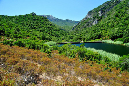 Siuru湖的景色图片