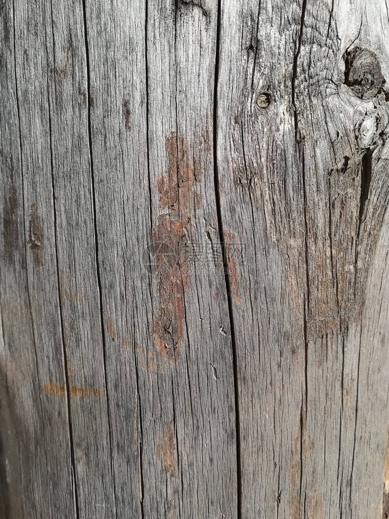 旧木板的质地是浅灰色的垂直背景图案图片