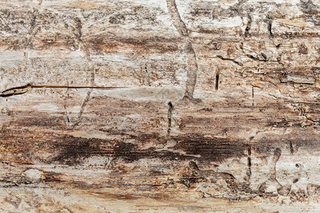 旧风化褐色木材纹理图片