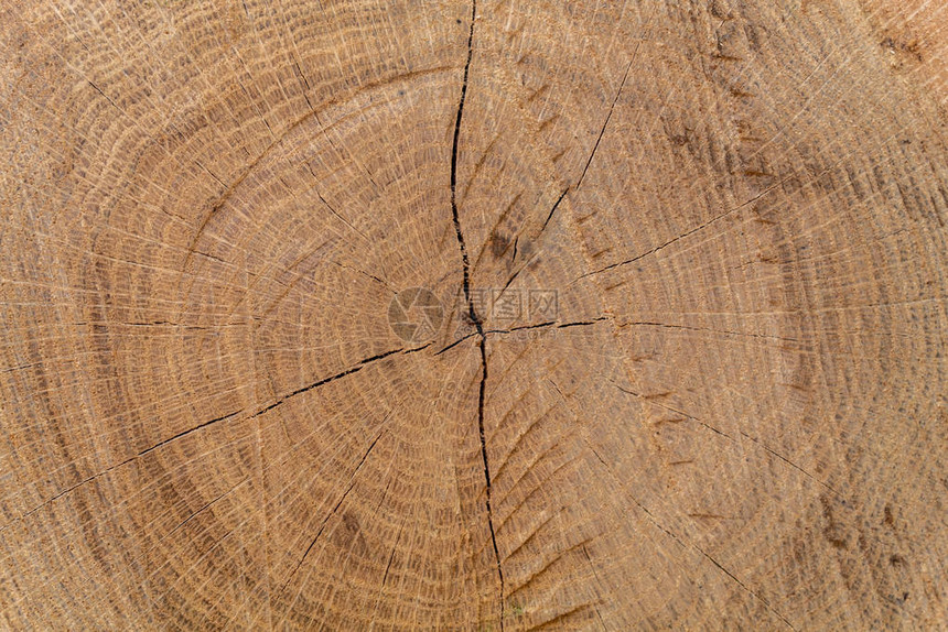 褐色开裂的木材纹理图片