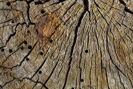 旧风化裂纹褐色木材纹理图片