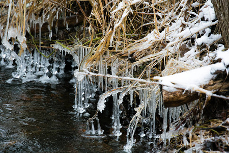 12月小溪中的冰柱图片
