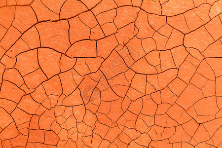 橙色干旱土壤形态图片