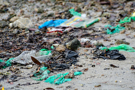 早上在沿海的塑料垃圾图片