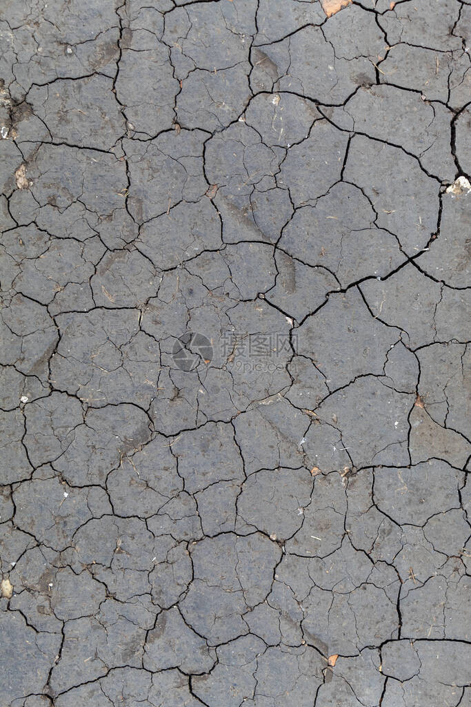 干裂土壤纹理顶视图图片