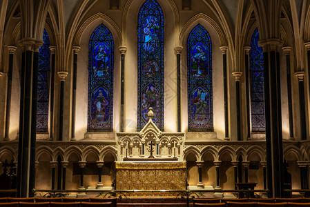 爱尔兰都柏林圣帕特里克大教堂内地的图片
