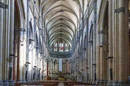 维也纳大教堂是法国维安市中世纪的罗马天主教堂高清图片