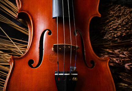小提琴表演设计以及部分音响乐器信头和艺术音调图片