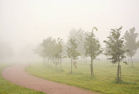 河边公园雾蒙的早晨图片