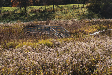 宁静平和轻松的木小脚桥在一条小溪上方图片