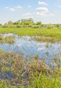 波尔西一小条河谷的洪涝草原阳背景图片