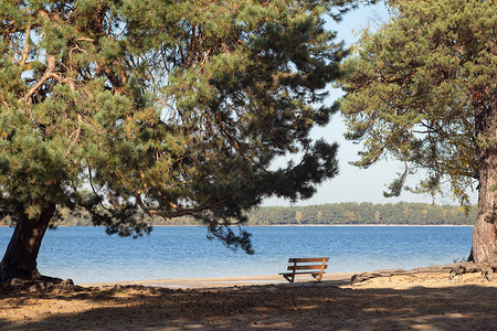 湖岸上的长凳平静的自然背景图片