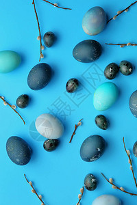 复活节鸡和鹌鹑蛋在柔和的蓝色背景与柳枝图片