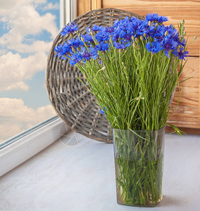 窗户上的蓝色矢车菊花束图片
