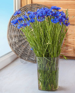 窗户上的蓝色矢车菊花束背景图片