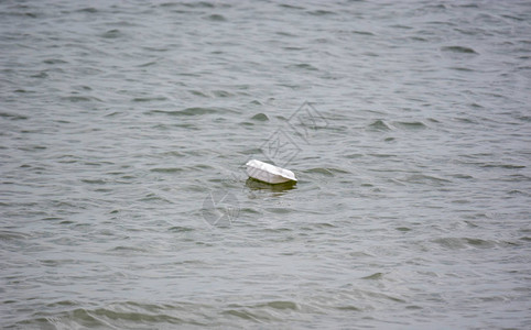 沙滩水上漂浮的塑料蒸汽泡沫图片