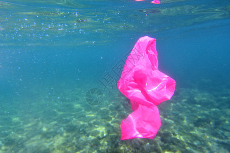 漂浮在海中的塑料袋图片