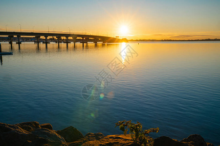 横扫Tauranga港桥线图片