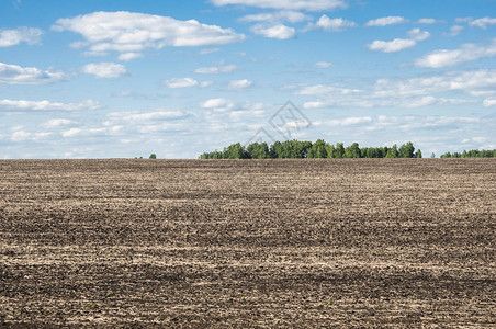 农业耕种田地和蓝天空图片