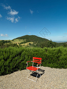 带红色椅子的花园全景图片