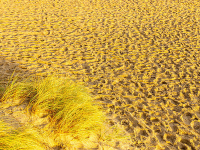 海沙丘中的沙路景观图片