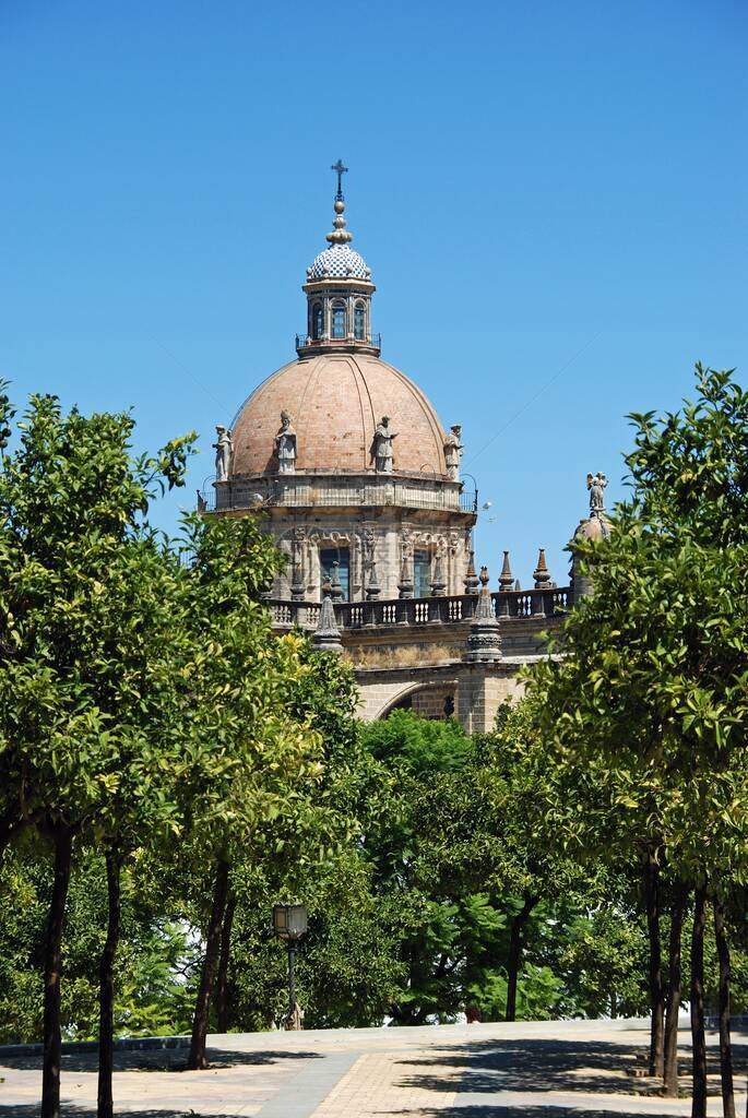 在西班牙安达卢西亚卡迪兹省JerezdelaFrontera树顶上看到圣萨尔瓦多大教图片