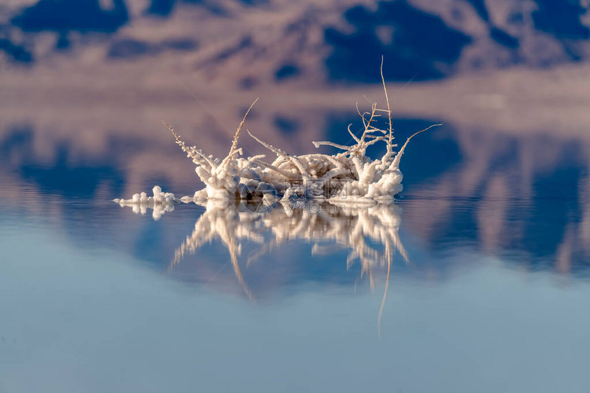 美国波纳维尔盐滩的咸水中树枝周围形成的盐晶体反映在与周围群山的图片