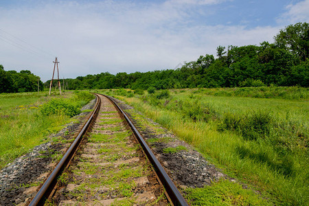 与铁路和橡树林的夏天风景图片