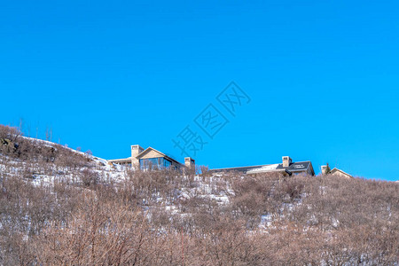 公园犹他山冬季的景象与住家在蓝天背景下没有叶子的棕色植物在雪覆盖的地图片