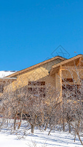 冬季犹他州帕克城雪景在建房屋的垂直框架外部前景中可以看到没有叶图片