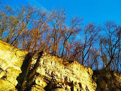 自然背景岩石上裸露的冬季森林背景图片