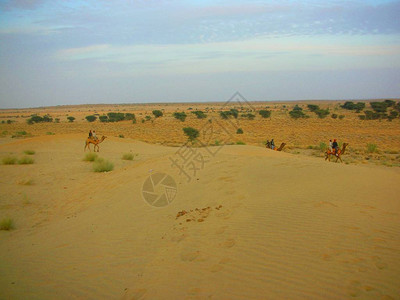 在印度沙漠旅行图片