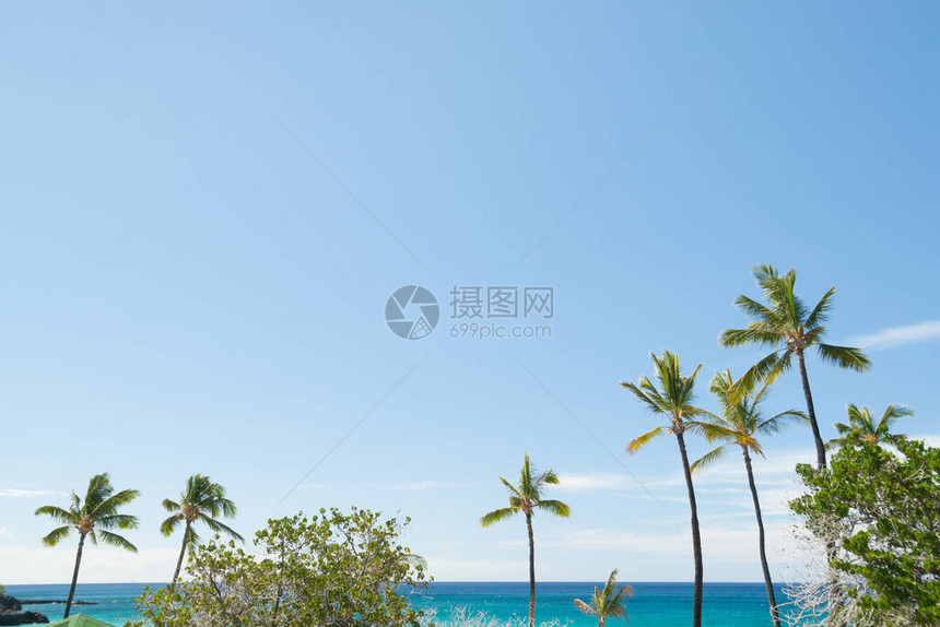 观赏夏威夷岛的热带海滩棕榈图片