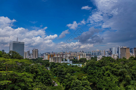 新加坡城市天线和白天亨德森桥摩图片