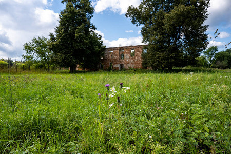 一座古老的庄园废墟在绿图片