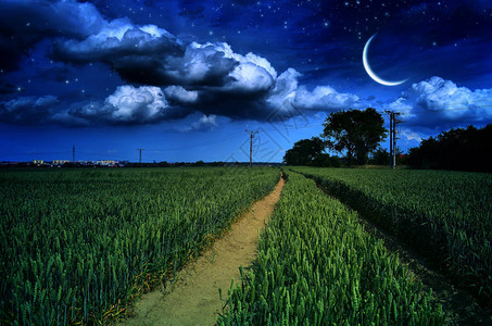 夜晚在星和月亮图片