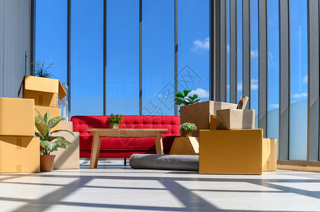 堆叠的纸板箱植物在新房子里现代客厅内大窗户附近的舒适沙发图片