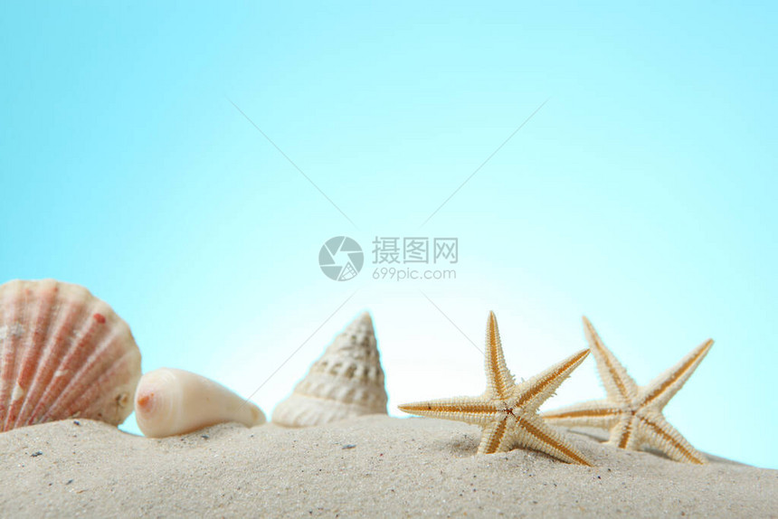 蓝色背景上的沙贝壳和海星有文字位图片