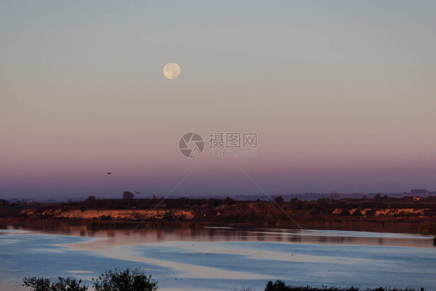 月亮在黎明的天空中飘过湖面并反映在湖水中鸟儿图片